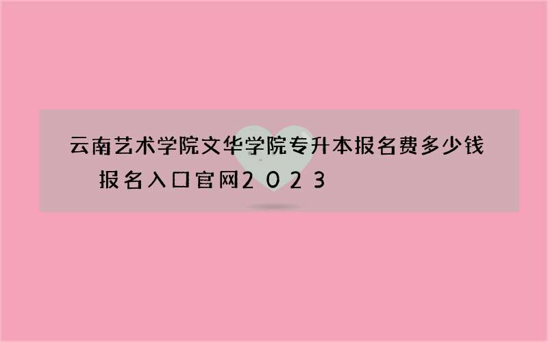 云南艺术学院文华学院专升本报名费多少钱 报名入口官网2023